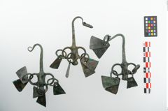 Foto von Bronzeachsnagel (NHMW-PRAE-025272)